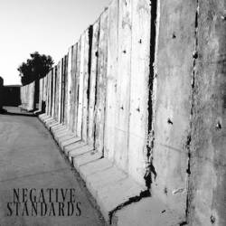 Negative Standards : I.II.III.IV.V